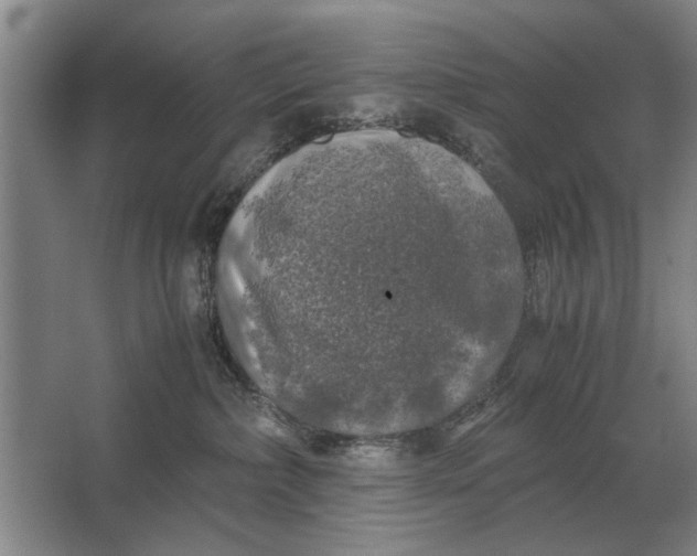 X0000062920236200601271813