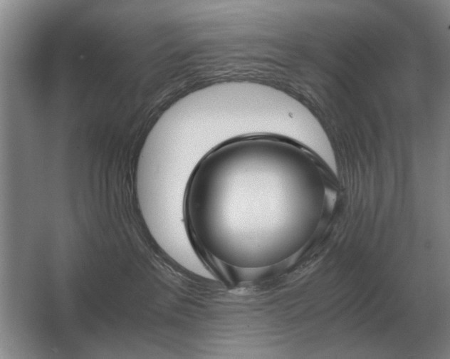 X0000062920237200601271813