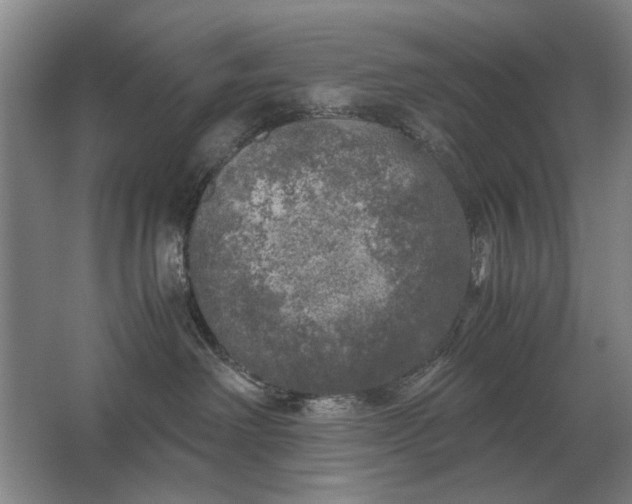 X0000062920238200601271813