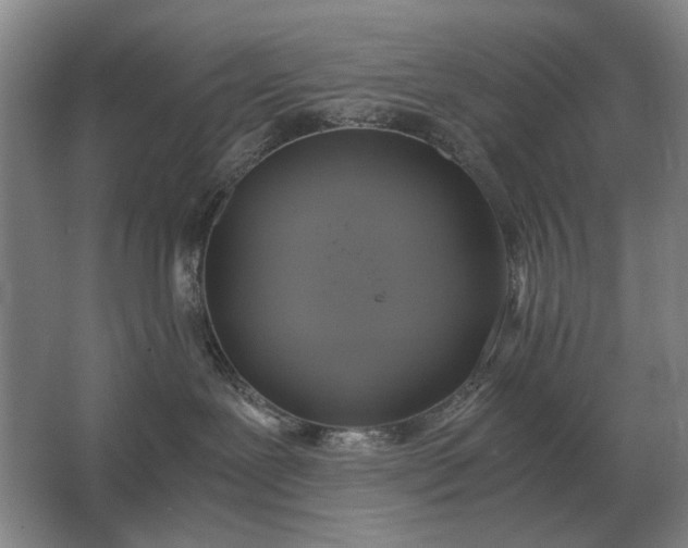 X0000062920239200601271813