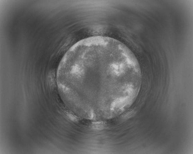 X0000062920240200601271813