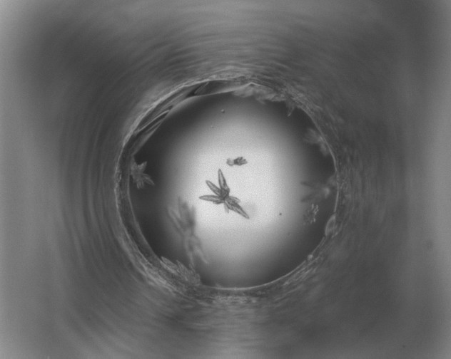 X0000062920242200601271812