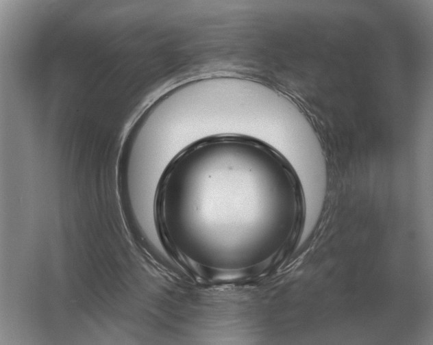 X0000062920244200601271812