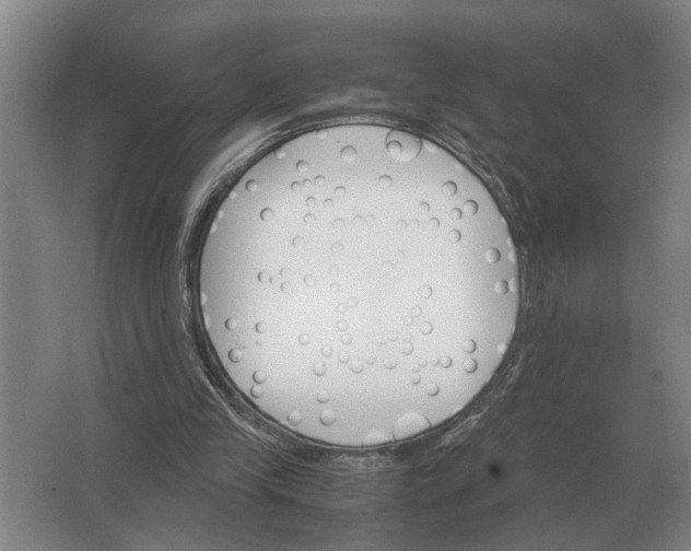 X0000062920245200601271812