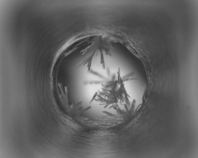 X0000062920246200601271812