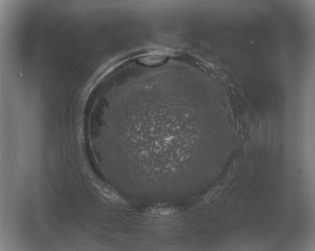 X0000062920247200601271812