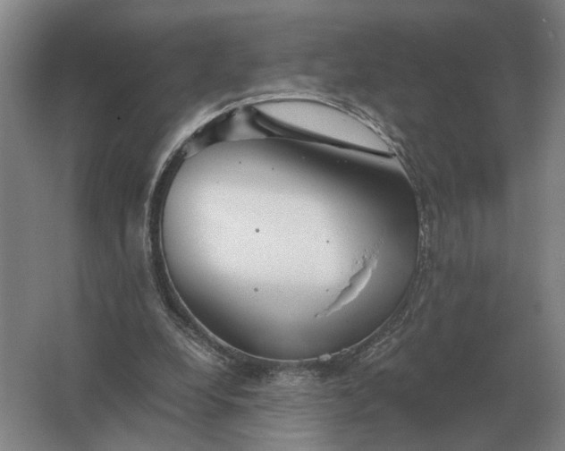 X0000062920248200601271813