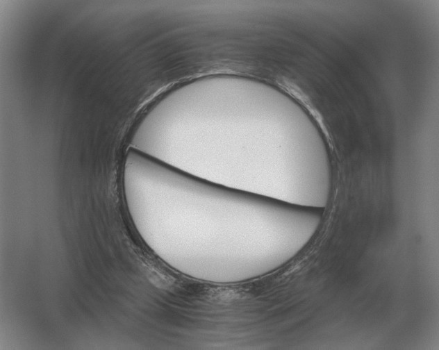 X0000062920249200601271813