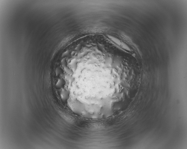 X0000062920250200601271813