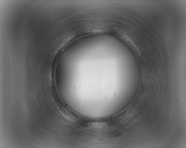 X0000062920251200601271813