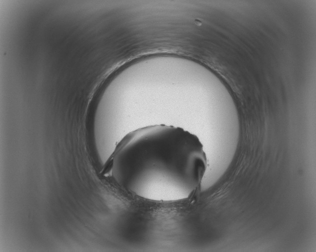 X0000062920252200601271813