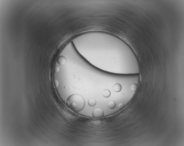 X0000062920253200601271813