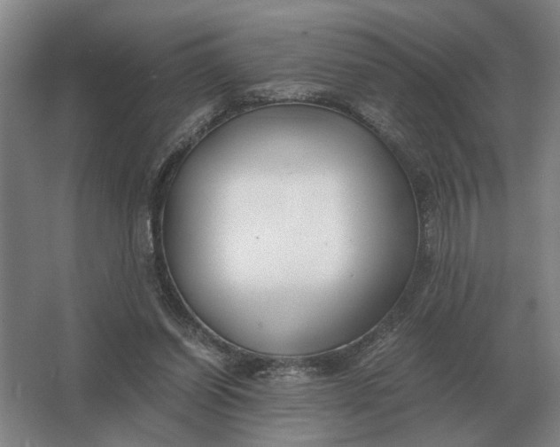 X0000062920254200601271813