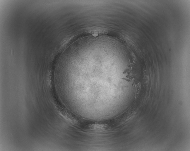 X0000062920255200601271813