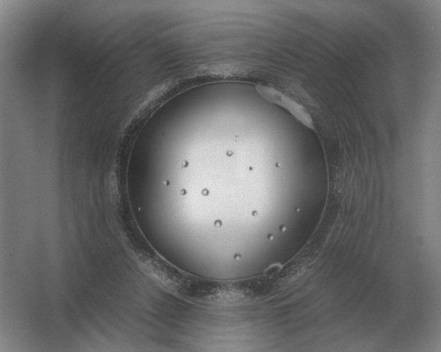 X0000062920256200601271813