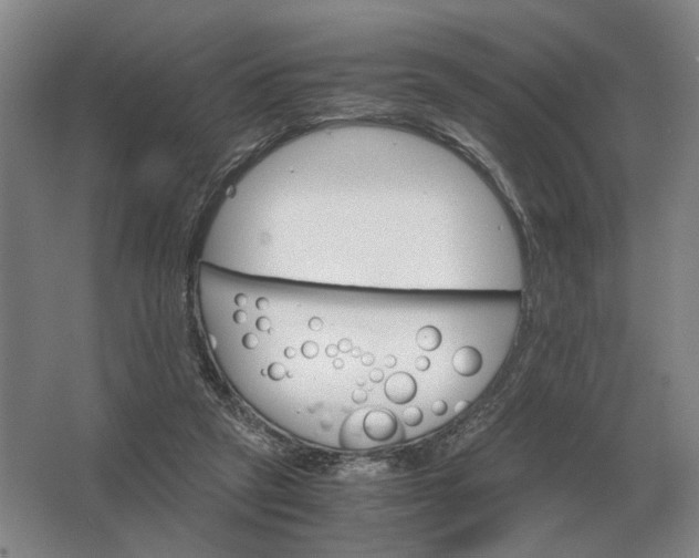 X0000062920257200601271813