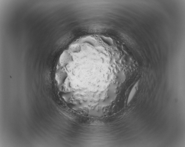 X0000062920258200601271813