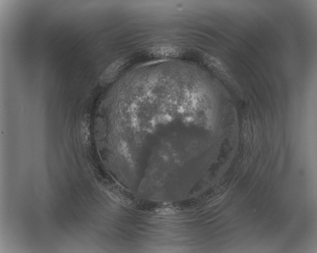 X0000062920259200601271813