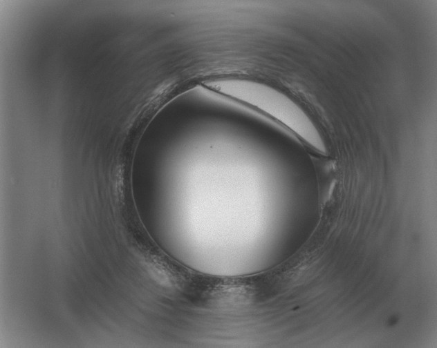 X0000062920260200601271813