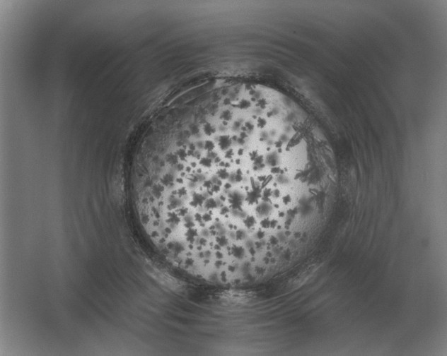 X0000062920261200601271813