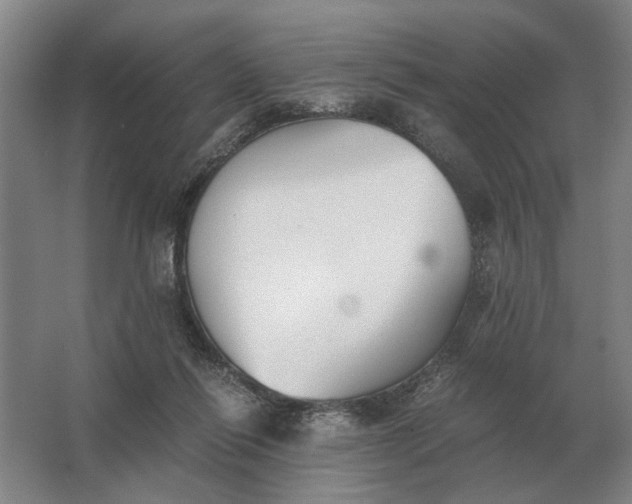 X0000062920262200601271813