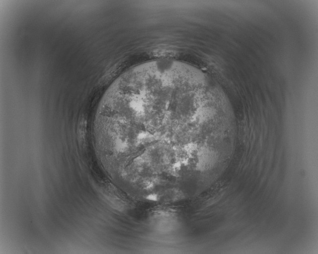 X0000062920263200601271813