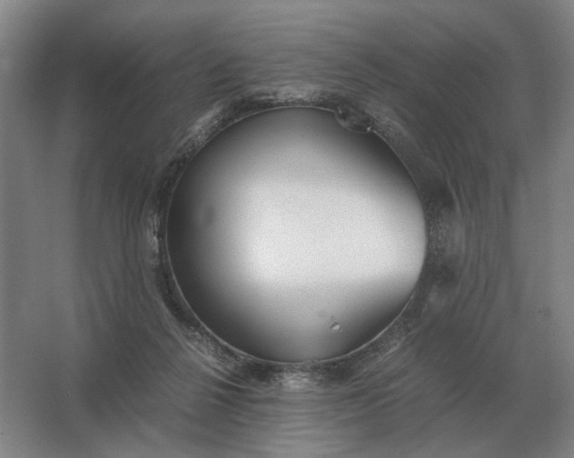 X0000062920264200601271813