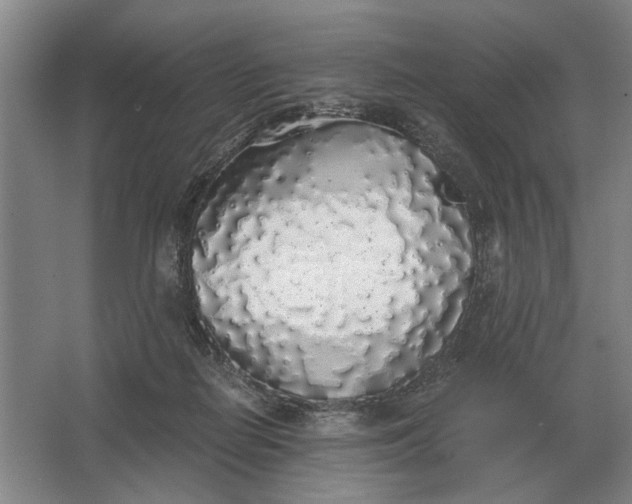 X0000062920266200601271813