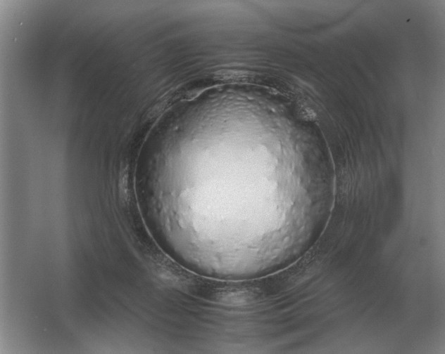 X0000062920267200601271813