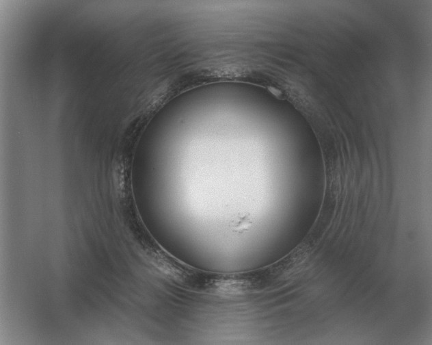 X0000062920268200601271813