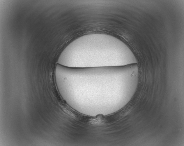 X0000062920269200601271813