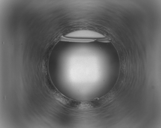 X0000062920270200601271813