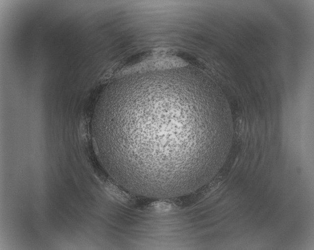 X0000062920272200601271813