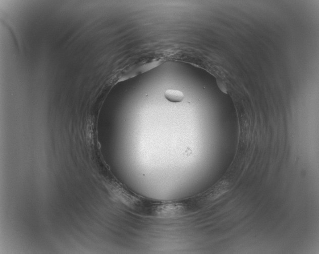 X0000062920274200601271813