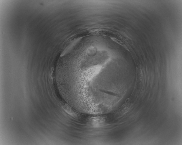 X0000062920275200601271813