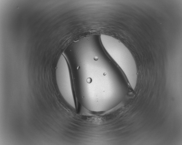 X0000062920276200601271813