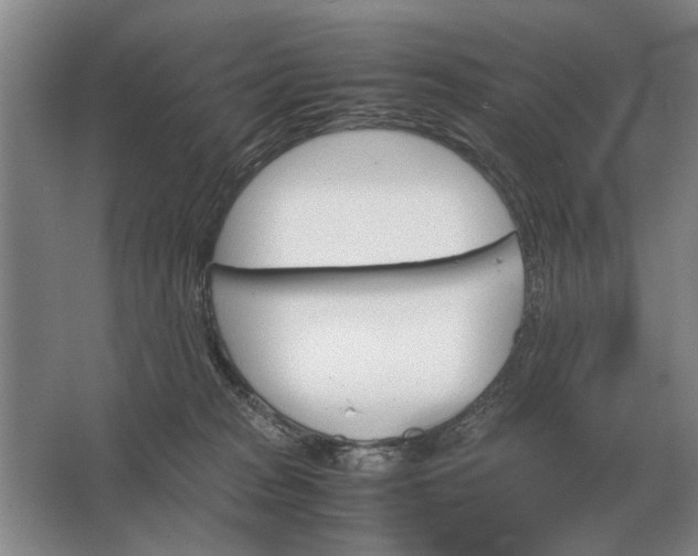 X0000062920277200601271813