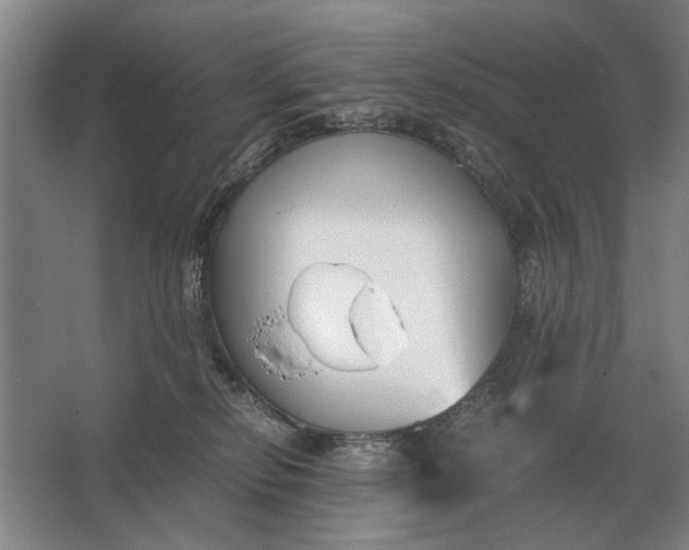 X0000062920278200601271813