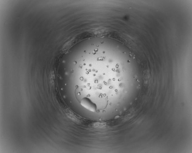 X0000062920279200601271813