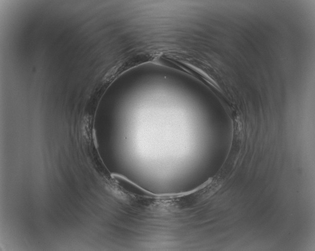 X0000062920280200601271813