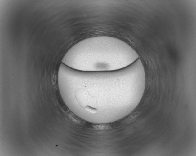 X0000062920281200601271813