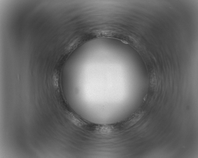 X0000062920282200601271813