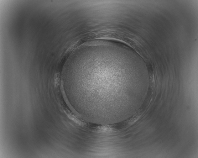 X0000062920284200601271813