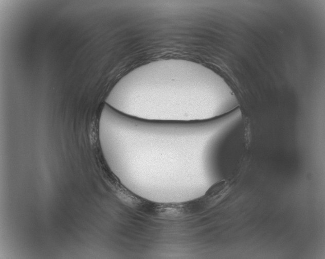 X0000062920285200601271813