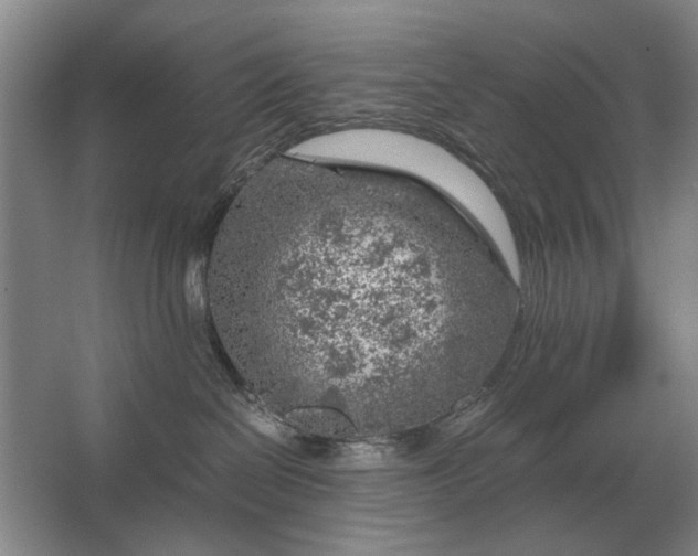 X0000062920286200601271813