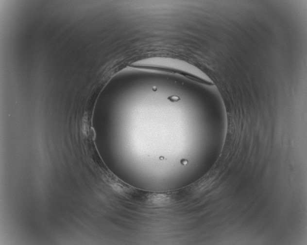 X0000062920287200601271813