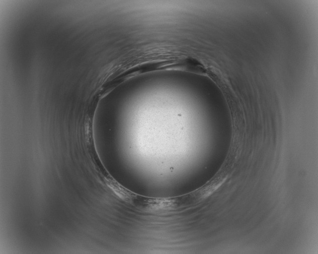 X0000062920288200601271813