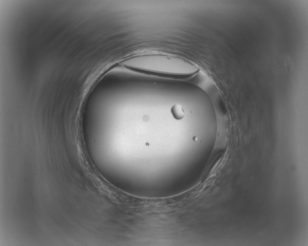 X0000062920289200601271812