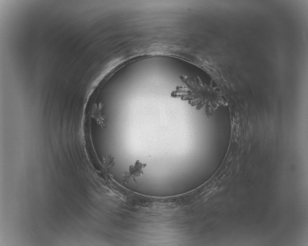 X0000062920292200601271812