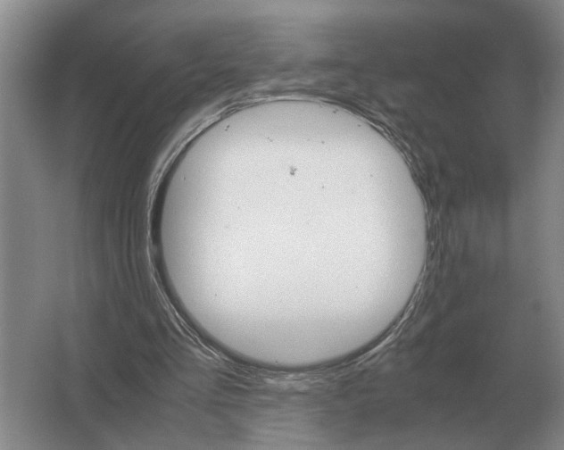 X0000062920293200601271812